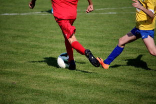 比利时男篮在欧洲预赛中坚持不懈，目标奥运荣誉，比利时男子篮球队