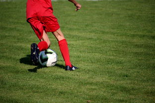 篮球运动员心理健康服务体系研究，篮球运动员心理健康服务体系研究论文